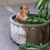 随意的啊的头像