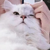 __FF的头像