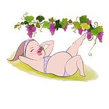 若茜cici的头像