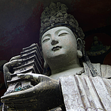 鑫儒的头像