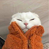 鹿离LL的头像
