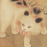 糖久TangJiu的头像