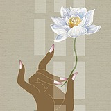 闪俊商业摄影的头像
