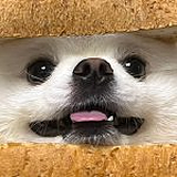 噗噗U吖U的头像