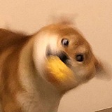 我是zzq的头像