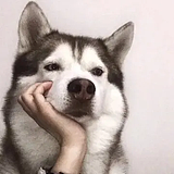 听风广告设计的头像