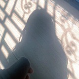 趣生设计的头像