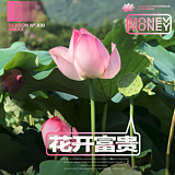 臭冬瓜呀的头像