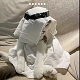 银河家来电_7的头像