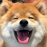 方向舟的头像