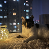 孙麦芽的头像