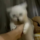 Ovo_ovO的头像