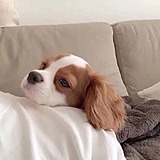 Heyzgc的头像