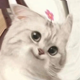 壹颗圆子咩的头像