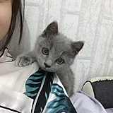 五月五月May的头像