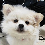 鱼仔仔哦的头像