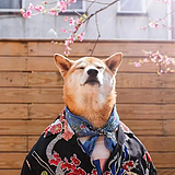 TX俊W的头像