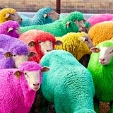 JC丨ONE的头像
