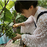 安徽三口设计培训的头像