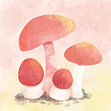 慕春ciel的头像