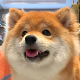 AAACeiling的头像