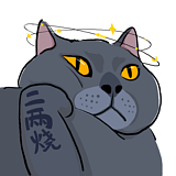 二两烧的头像