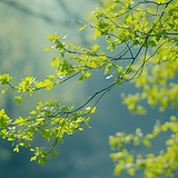 周巽884813的头像