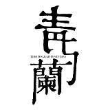 青与蘭摄影的头像