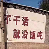 我不是熊大大的头像