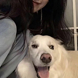 Cindy是森迪的头像