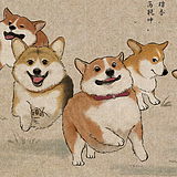 用户头像