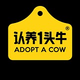 创意无限公司的头像