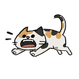 呼鹿的头像