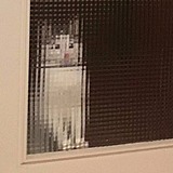 reallllchenxxh的头像