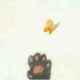 lmmy依米的头像
