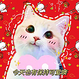 蔡女士的头像