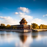 荼鹿的头像