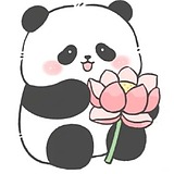 文文芳的头像
