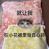 克里斯04的头像