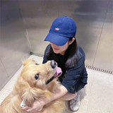 VVVENICO的头像