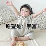 Z76633623的头像