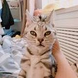 灬敏灬的头像