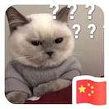 我有不掉发的秘籍的头像