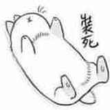 用戶頭像