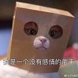 暴躁铁汁的头像