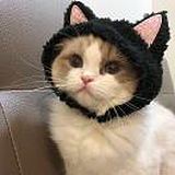与腻的头像