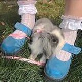 用户头像