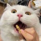 用戶頭像