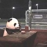 一三小白的头像