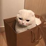 王耶波波粉的头像